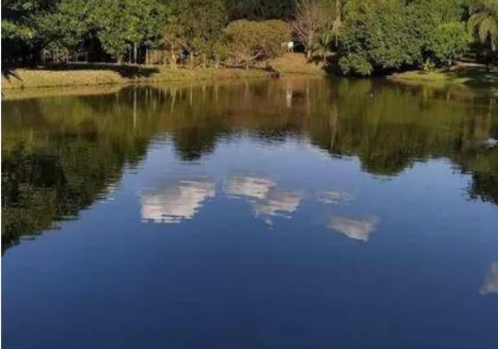 IMG-20240827-WA0108